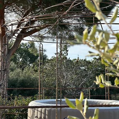 Les Oliviers Villa