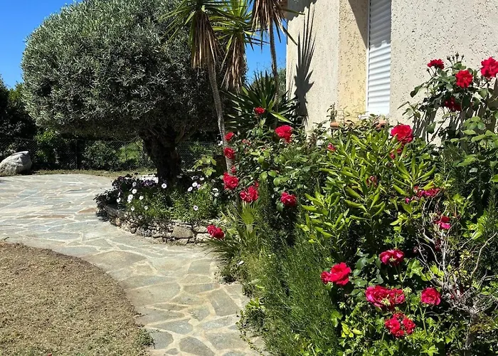 Les Oliviers Villa