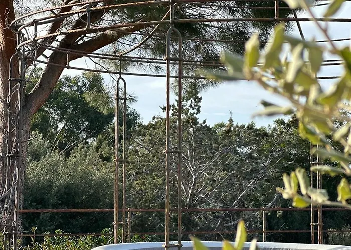 Les Oliviers Villa