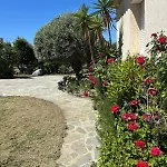 Βίλα Les Oliviers *