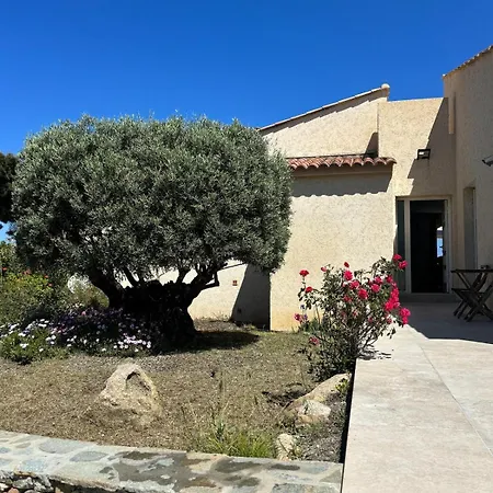 Villa Les Oliviers Monticello