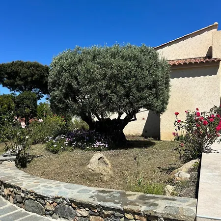 Les Oliviers Monticello