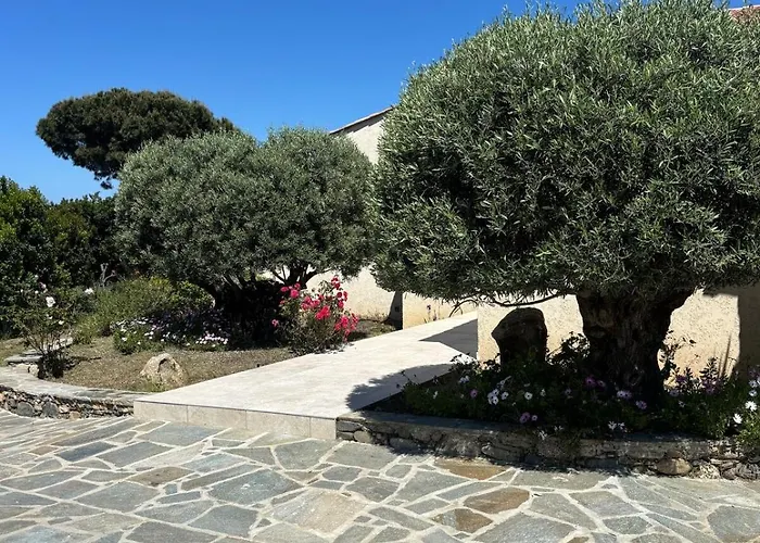 Les Oliviers Monticello