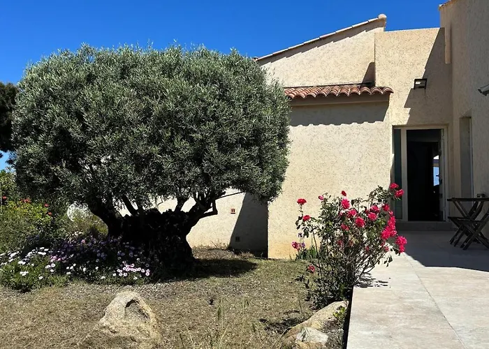 Vila Les Oliviers Monticello