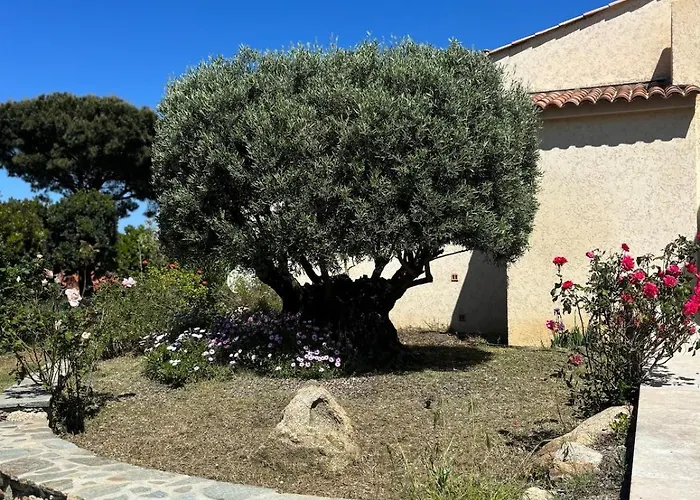 Les Oliviers Monticello