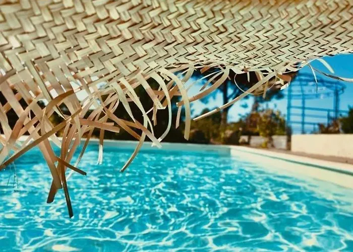 Les Oliviers Monticello